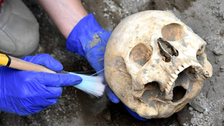 Skull of Crushed Pompeii Victim Found ‘Intact’
